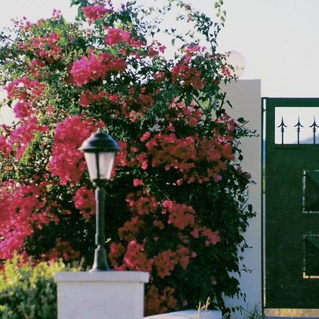 Beachfront Villa Rhodes Seashell غينادي المظهر الخارجي الصورة